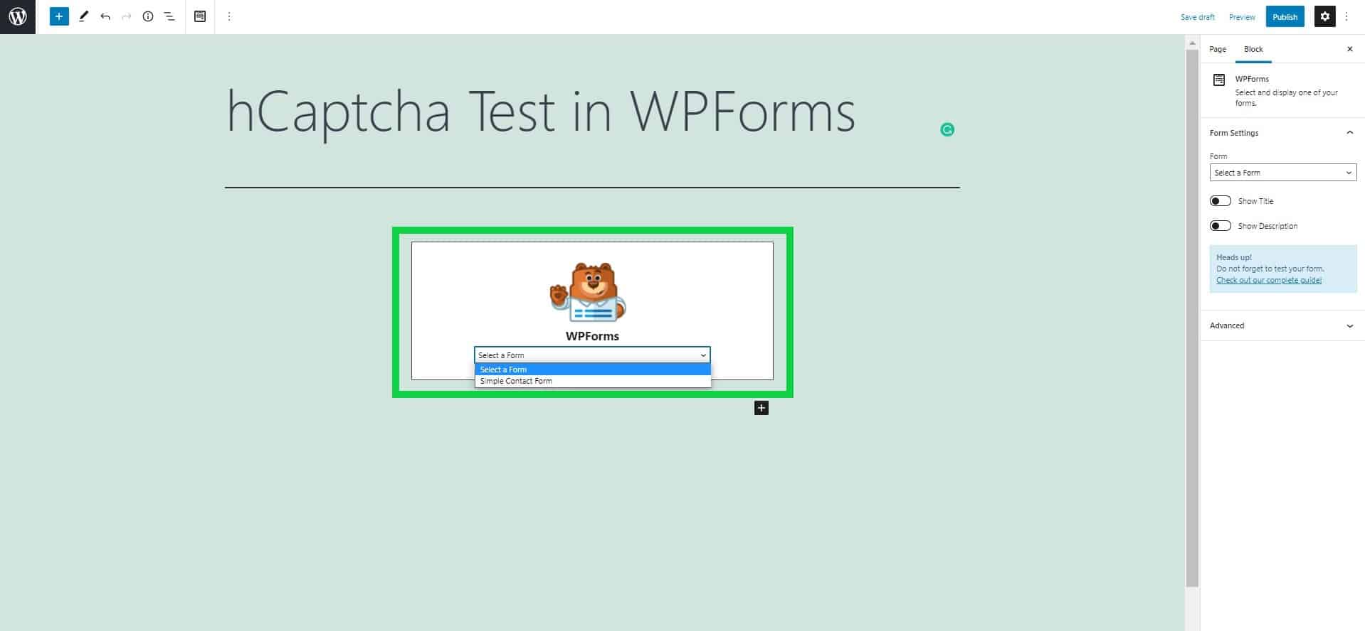 WPForms Form Preview